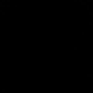 Meet your Posher, Max